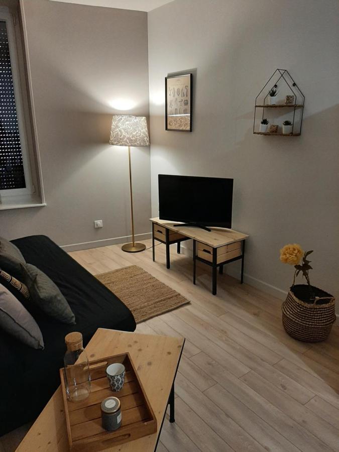 Louhans Les Petites Arcades Avec Ses Deux Appartements Cote Arcades Et Cote Cour 外观 照片