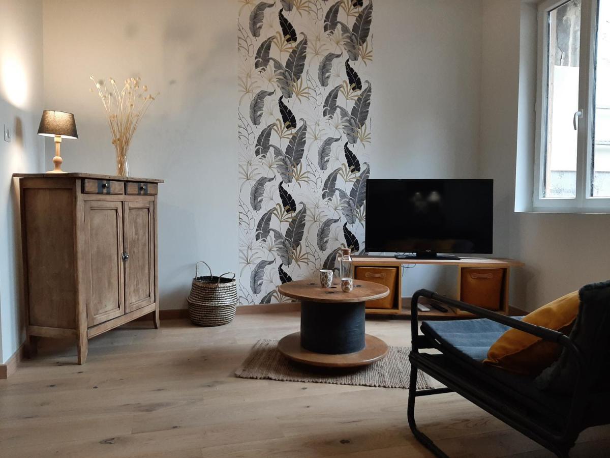 Louhans Les Petites Arcades Avec Ses Deux Appartements Cote Arcades Et Cote Cour 外观 照片